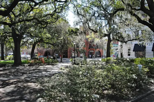 Around Florida Part2 - Savannah
