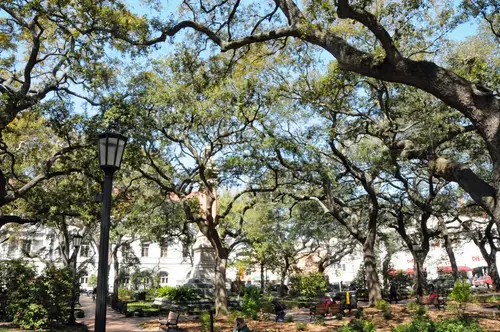Around Florida Part2 - Savannah
