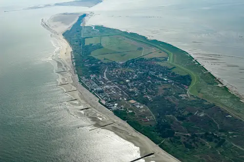 Borkum and Birdstrike in Bremen