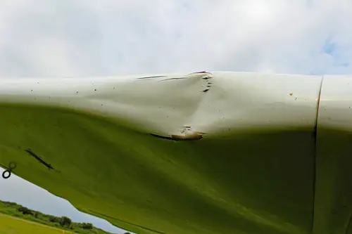 Borkum and Birdstrike in Bremen