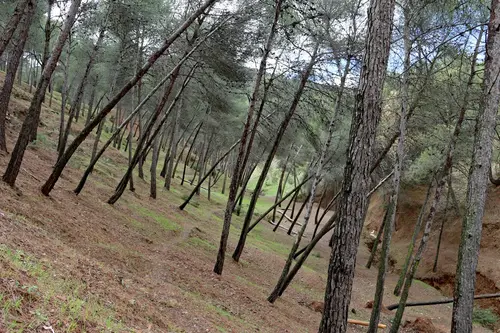 Morocco Part3 - Marakesh