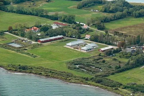 Vejroe