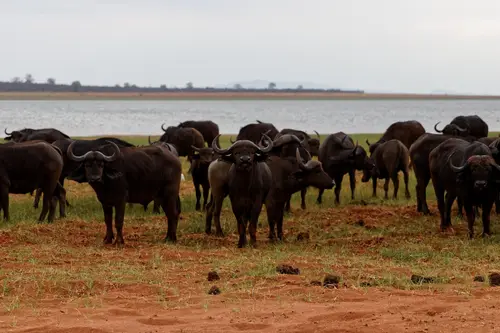 Southern Africa - Part7: Bumi Hills