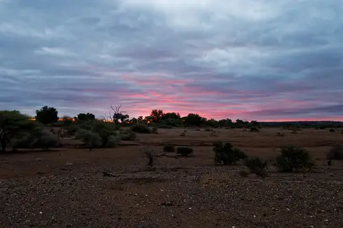 Southern Africa - Part8: Limpopo Valley - Mashatu