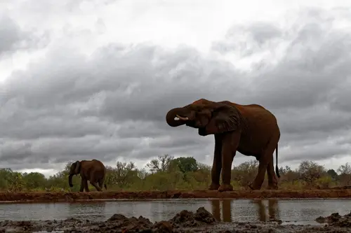 Southern Africa - Part8: Limpopo Valley - Mashatu