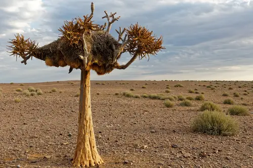 Southern Africa - Part2: Fish River Canyon