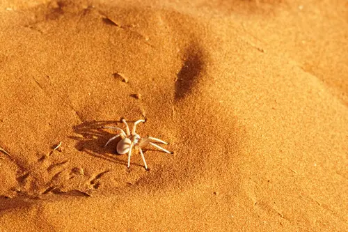 Southern Africa - Part3: Sossusvlei