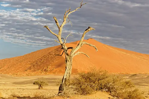 Southern Africa - Part3: Sossusvlei