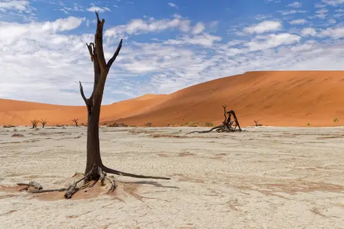 Southern Africa - Part3: Sossusvlei