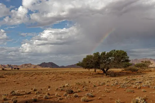 Southern Africa - Part3: Sossusvlei