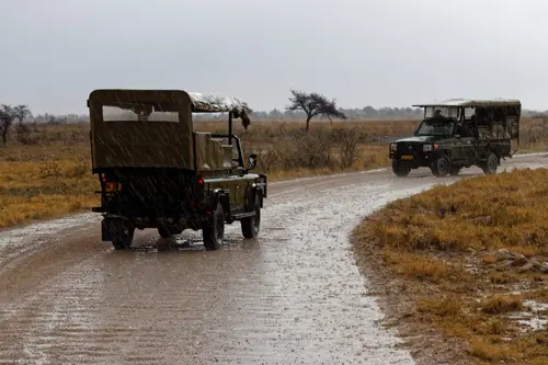 Southern Africa - Part4: Etosha National Park