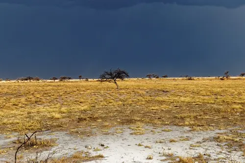 Southern Africa - Part4: Etosha National Park