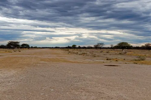 Southern Africa - Part5: Okavango Delta