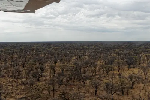 Southern Africa - Part5: Okavango Delta