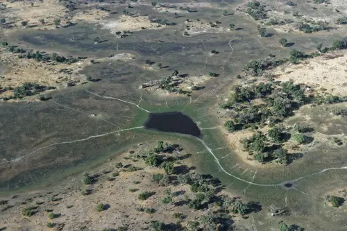 Southern Africa - Part5: Okavango Delta