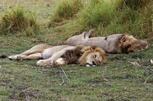 Southern Africa - Part5: Okavango Delta