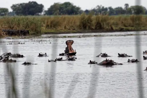 Southern Africa - Part5: Okavango Delta