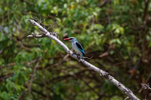 Southern Africa - Part5: Okavango Delta