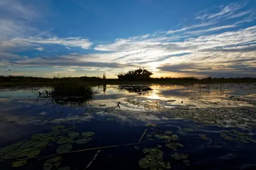 Southern Africa - Part5: Okavango Delta