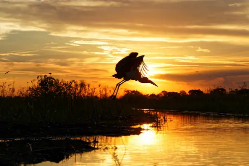 Southern Africa - Part5: Okavango Delta