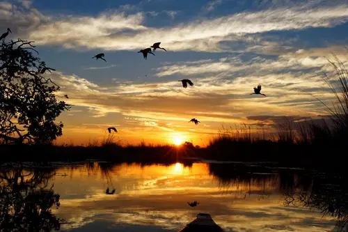 Southern Africa - Part5: Okavango Delta