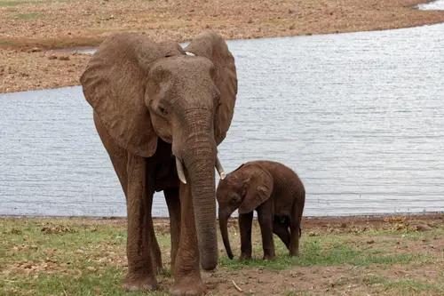 Southern Africa - Part7: Bumi Hills
