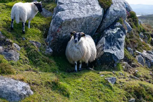 Ireland Part3 - Donegal