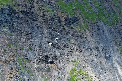 Alaska Floatplane Rating - Moose Pass