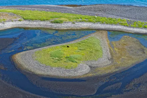 Alaska Floatplane Rating - Moose Pass