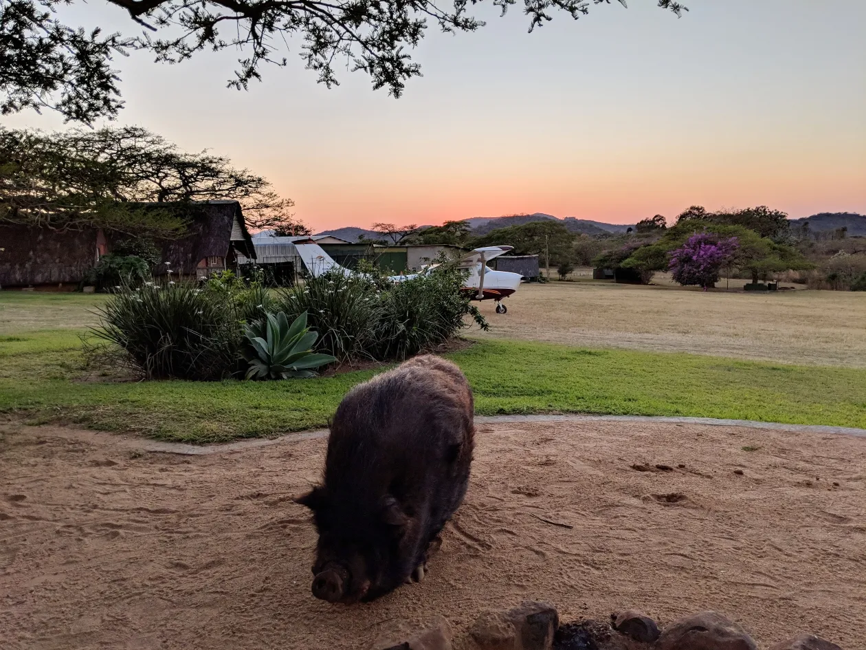 Validation and Bush Flying in South Africa