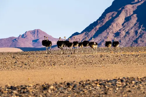 Southern Africa Reloaded - Part1: Namibia