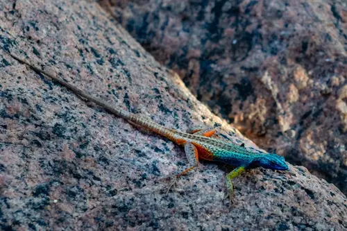 Southern Africa Reloaded - Part1: Namibia