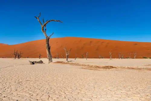 Southern Africa Reloaded - Part1: Namibia