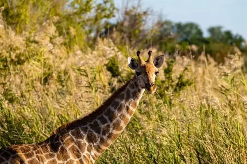 Southern Africa Reloaded - Part1: Namibia