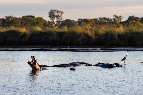 Southern Africa Reloaded - Part2: Botswana