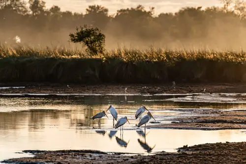 Southern Africa Reloaded - Part2: Botswana