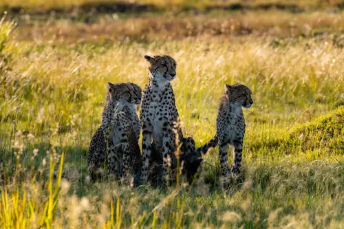 Southern Africa Reloaded - Part2: Botswana