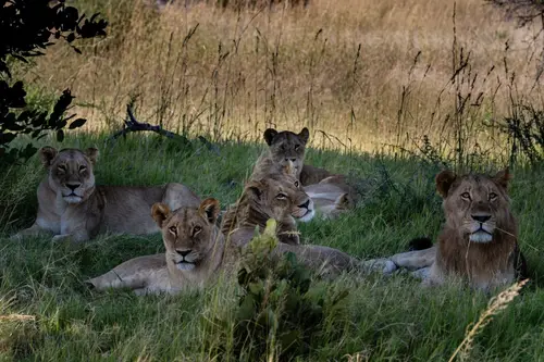Southern Africa Reloaded - Part2: Botswana