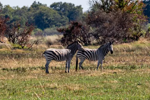Southern Africa Reloaded - Part2: Botswana