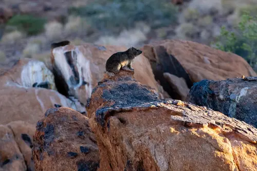 Southern Africa Reloaded - Part1: Namibia
