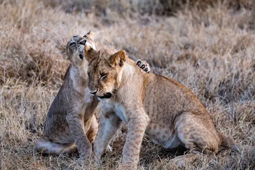 Southern Africa Reloaded - Part2: Botswana