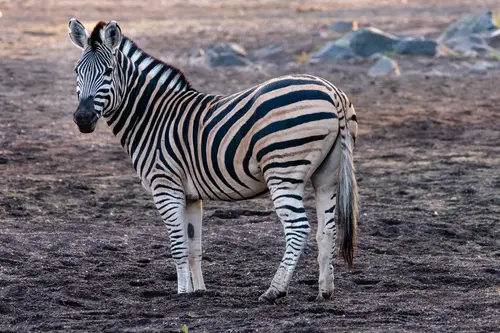 Southern Africa Reloaded - Part2: Botswana
