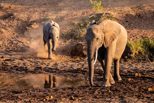 Southern Africa Reloaded - Part2: Botswana