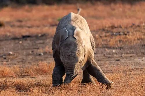 Southern Africa Reloaded - Part2: Botswana
