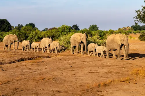 Southern Africa Reloaded - Part2: Botswana