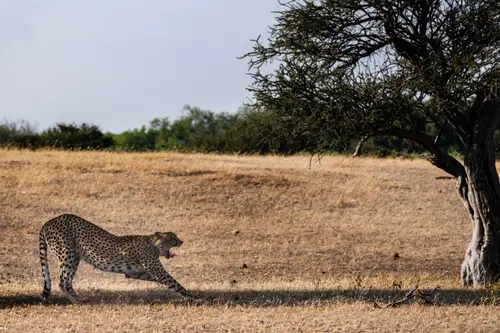 Southern Africa Reloaded - Part2: Botswana