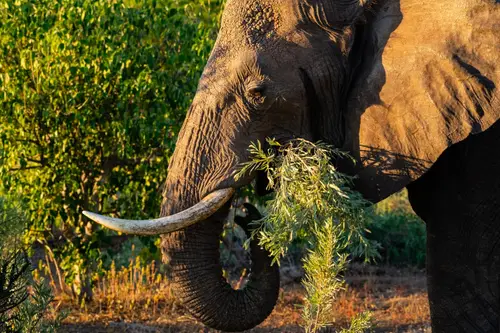 Southern Africa Reloaded - Part2: Botswana