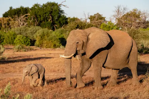 Southern Africa Reloaded - Part2: Botswana