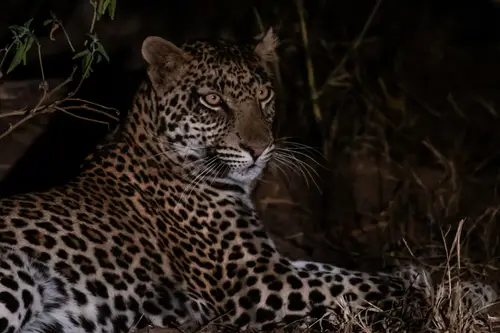 Southern Africa Reloaded - Part2: Botswana