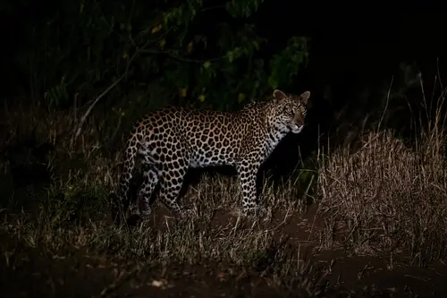 Southern Africa Reloaded - Part2: Botswana